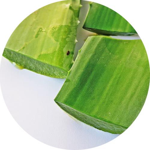 Aloe Vera 100% illatolaj