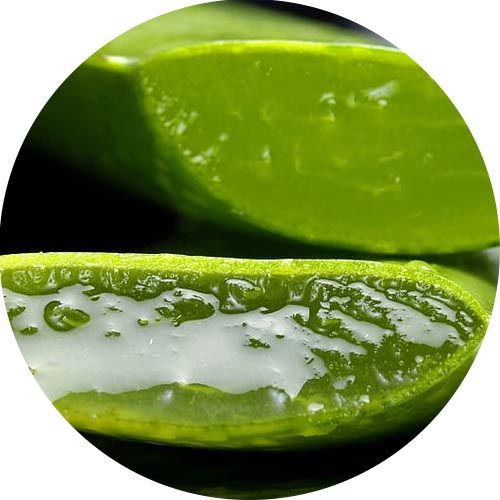 Aloe vera II illatolaj 10 ml